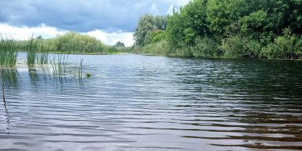 Поради щодо зберігання та обслуговування підгодовувальних човнів